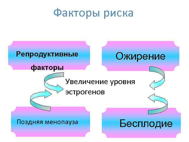 Факторы риска Репродуктивные Ожирение факторы Увеличение уровня эстрогенов Поздняя менопауза Бесплодие 