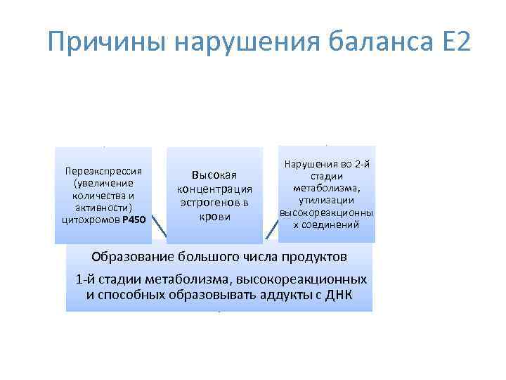 Причины нарушения баланса Е 2 Переэкспрессия (увеличение количества и активности) цитохромов Р 450 Высокая