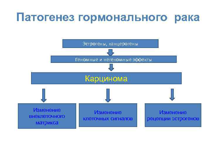 Патогенез гормонального рака Эстрогены, канцерогены Геномные и негеномные эффекты Карцинома Изменение внеклеточного матрикса Изменение