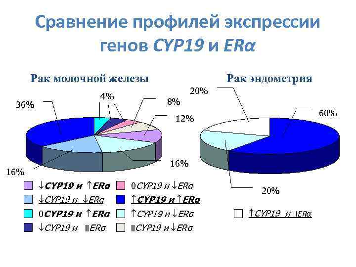 Сравнение профилей экспрессии генов CYP 19 и ERα Рак молочной железы 36% 4% 20%