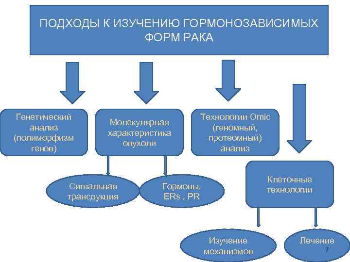 ПОДХОДЫ К ИЗУЧЕНИЮ ГОРМОНОЗАВИСИМЫХ ФОРМ РАКА Генетический анализ (полиморфизм генов) Молекулярная характеристика опухоли Сигнальная