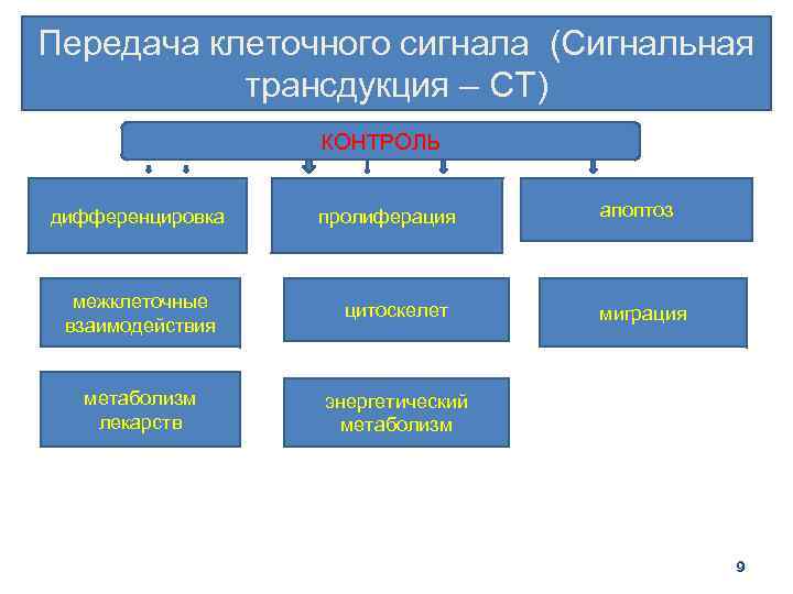 Передача клеточного сигнала (Сигнальная трансдукция – СТ) КОНТРОЛЬ дифференцировка пролиферация межклеточные взаимодействия цитоскелет метаболизм