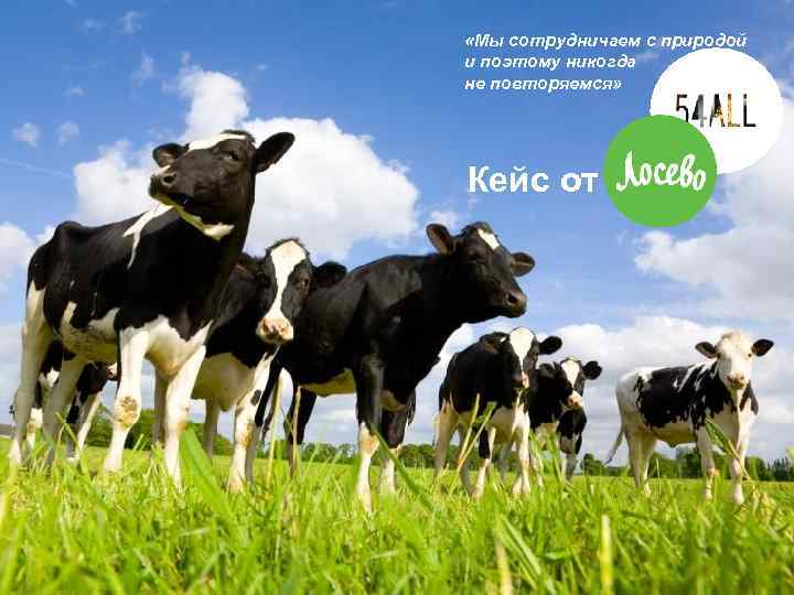  «Мы сотрудничаем с природой и поэтому никогда не повторяемся» Кейс от 