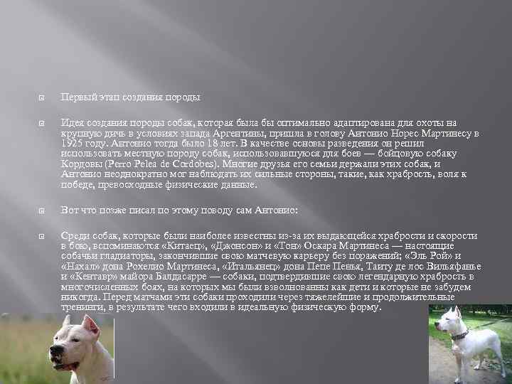  Первый этап создания породы Идея создания породы собак, которая была бы оптимально адаптирована