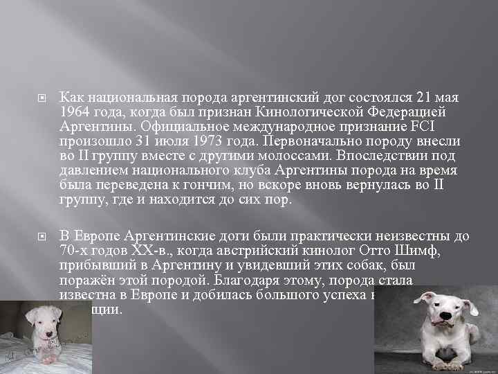  Как национальная порода аргентинский дог состоялся 21 мая 1964 года, когда был признан