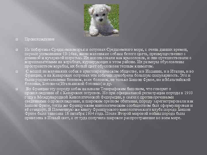  Происхождение На побережье Средиземноморья и островах Средиземного моря, с очень давних времен, первые