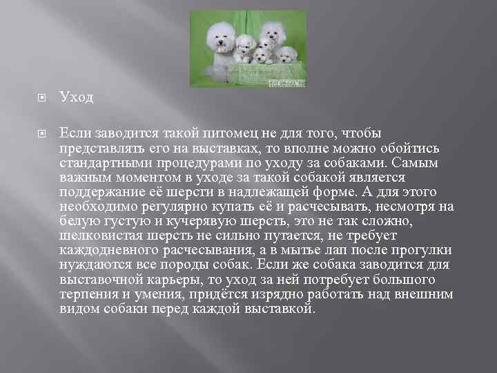  Уход Если заводится такой питомец не для того, чтобы представлять его на выставках,