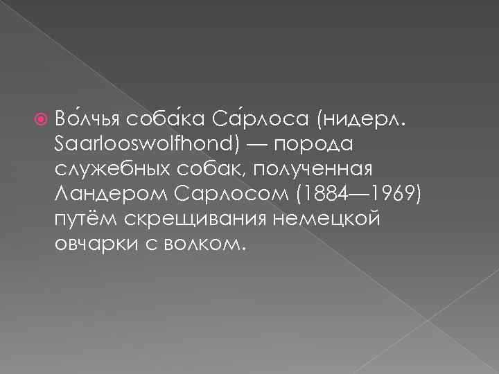  Во лчья соба ка Са рлоса (нидерл. Saarlooswolfhond) — порода служебных собак, полученная