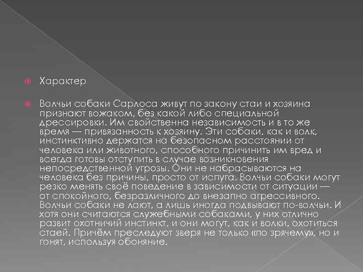  Характер Волчьи собаки Сарлоса живут по закону стаи и хозяина признают вожаком, без