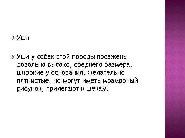  Уши у собак этой породы посажены довольно высоко, среднего размера, широкие у основания,