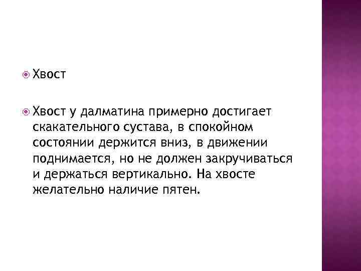  Хвост у далматина примерно достигает скакательного сустава, в спокойном состоянии держится вниз, в