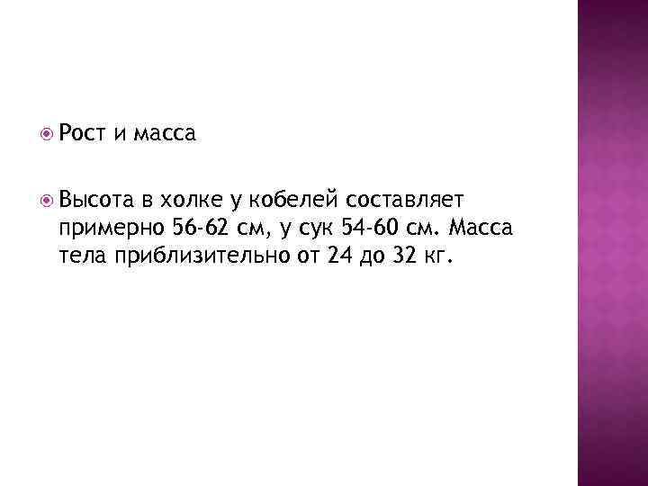  Рост и масса Высота в холке у кобелей составляет примерно 56 -62 см,