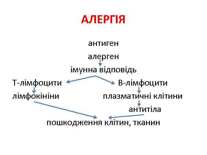 АЛЕРГІЯ антиген алерген імунна відповідь Т-лімфоцити В-лімфоцити лімфокініни плазматичні клітини антитіла пошкодження клітин, тканин