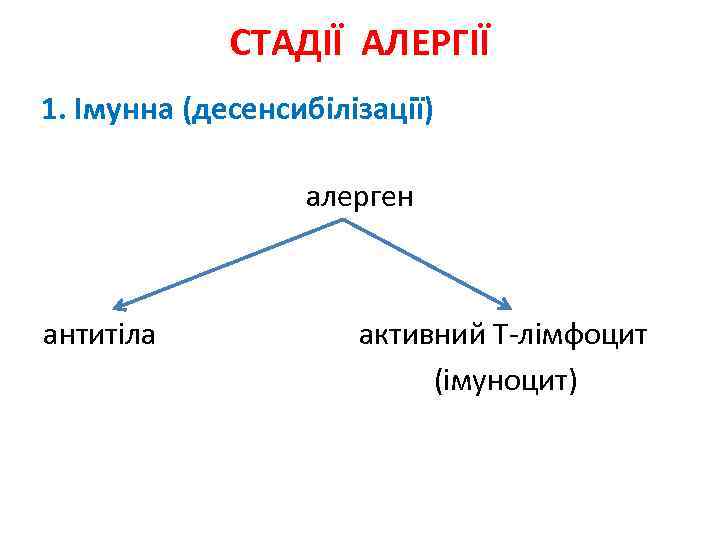 СТАДІЇ АЛЕРГІЇ 1. Імунна (десенсибілізації) алерген антитіла активний Т-лімфоцит (імуноцит) 