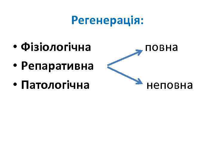 Регенерація: • Фізіологічна • Репаративна • Патологічна повна неповна 