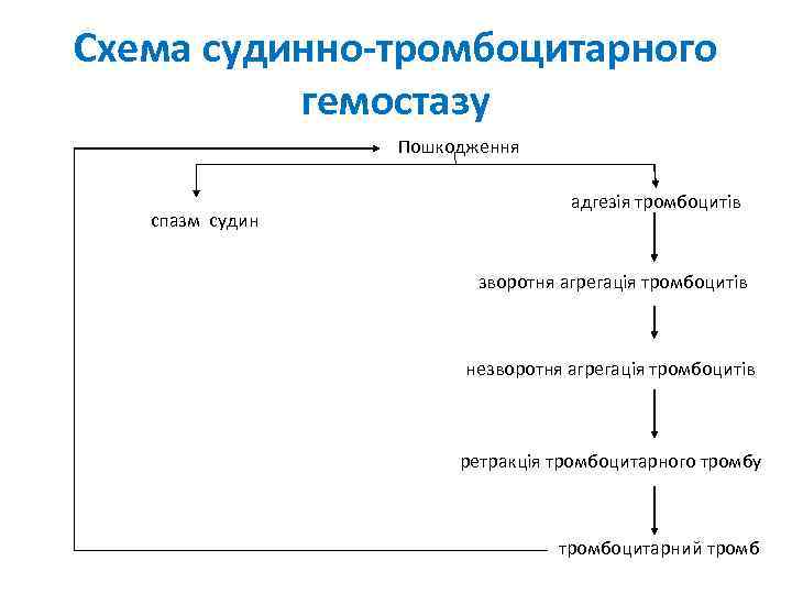 Схема судинно-тромбоцитарного гемостазу Пошкодження спазм судин адгезія тромбоцитів зворотня агрегація тромбоцитів незворотня агрегація тромбоцитів