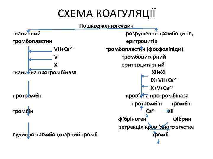 СХЕМА КОАГУЛЯЦІЇ Пошкодження судин тканинний розрушення тромбоцитів, тромбопластин еритроцитів VII+Ca 2+ тромбопластин (фосфоліпіди) V