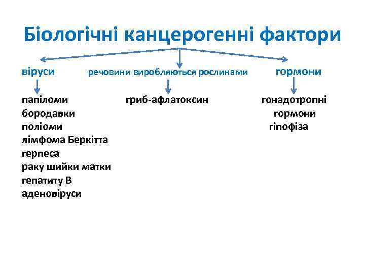 Біологічні канцерогенні фактори віруси речовини виробляються рослинами папіломи бородавки поліоми лімфома Беркітта герпеса раку