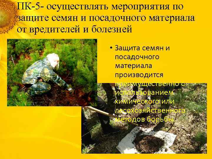 ПК-5 - осуществлять мероприятия по защите семян и посадочного материала от вредителей и болезней