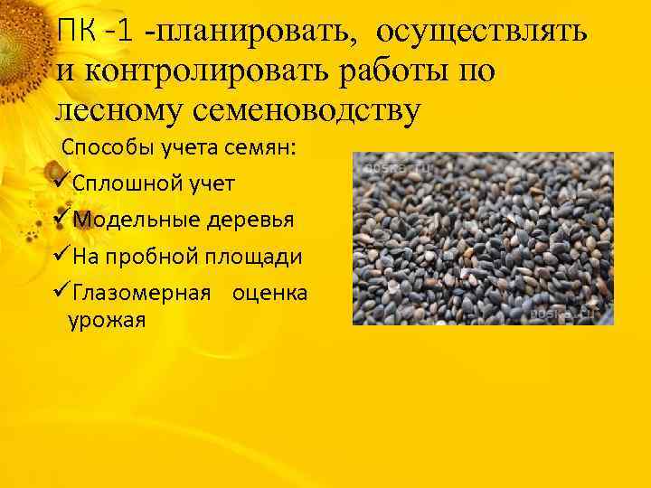 ПК -1 -планировать, осуществлять и контролировать работы по лесному семеноводству Способы учета семян: üСплошной