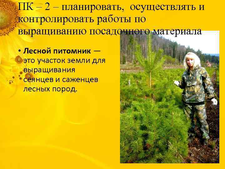 ПК – 2 – планировать, осуществлять и контролировать работы по выращиванию посадочного материала •