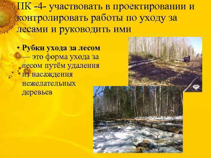 ПК -4 - участвовать в проектировании и контролировать работы по уходу за лесами и