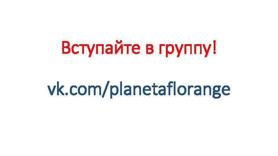 Вступайте в группу! vk. com/planetaflorange 