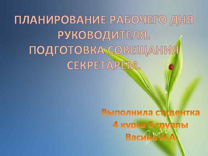 ПЛАНИРОВАНИЕ РАБОЧЕГО ДНЯ РУКОВОДИТЕЛЯ. ПОДГОТОВКА СОВЕЩАНИЯ СЕКРЕТАРЕМ. 