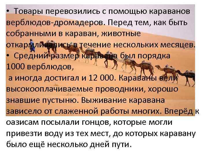 Караван до скольки. Предложение со словом Караван. Караван это что такое простыми словами. Предложение со словом Караван 1 класс. Путь каравана.