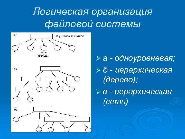 Логическая организация файловой системы Ø а - одноуровневая; Ø б - иерархическая (дерево); Ø