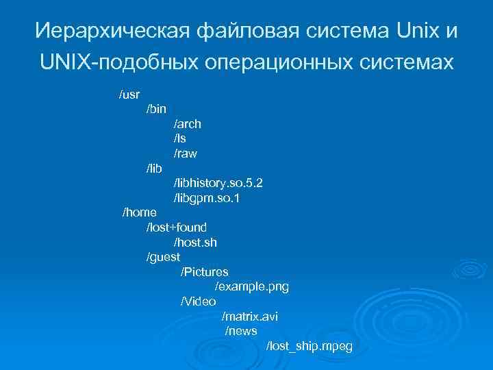 Иерархическая файловая система Unix и UNIX-подобных операционных системах /usr /bin /arch /ls /raw /libhistory.