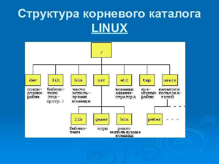 Структура корневого каталога LINUX 