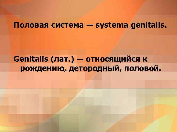 Половая система ― systema genitalis. Genitalis (лат. ) ― относящийся к рождению, детородный, половой.