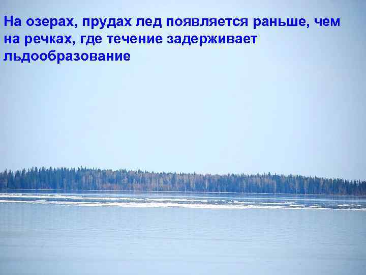 На озерах, прудах лед появляется раньше, чем на речках, где течение задерживает льдообразование 