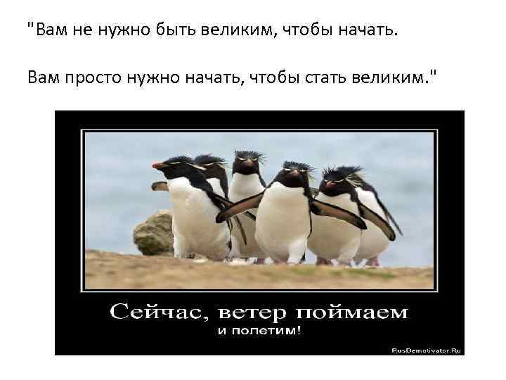 "Вам не нужно быть великим, чтобы начать. Вам просто нужно начать, чтобы стать великим.