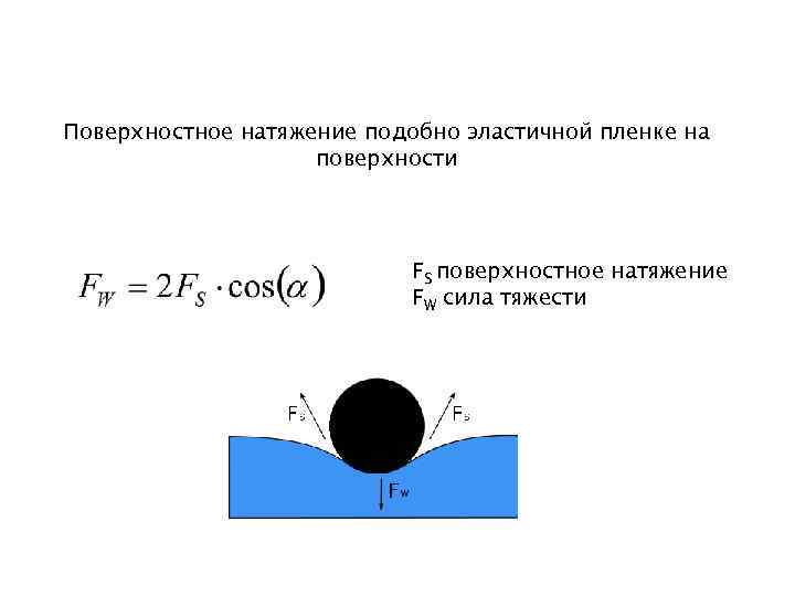 Чему равна сила натяжения воды. Сила поверхностного натяжения формула. Сила поверхностного натяжения формула 10 класс физика. Поверхностная натяжения жидкостей в физике формула. Сила поверхностного натяжения жидкости физика.