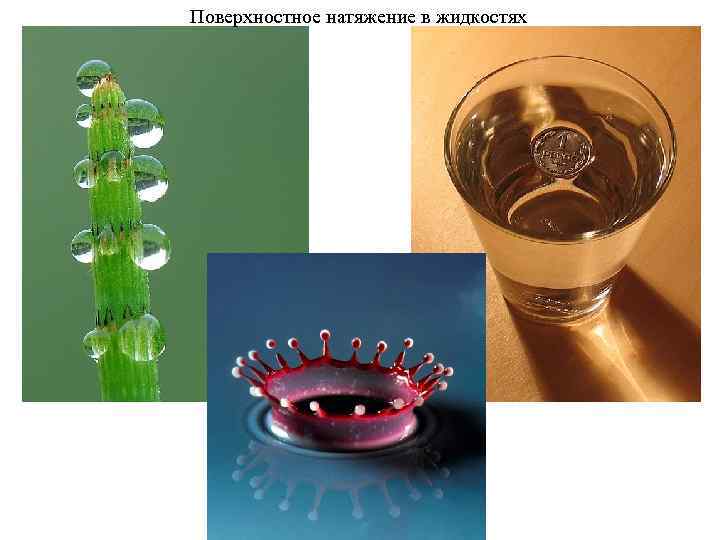Поверхностное натяжение в жидкостях 