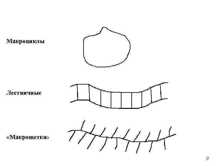 Макроциклы Лестничные «Макрощетки» 9 