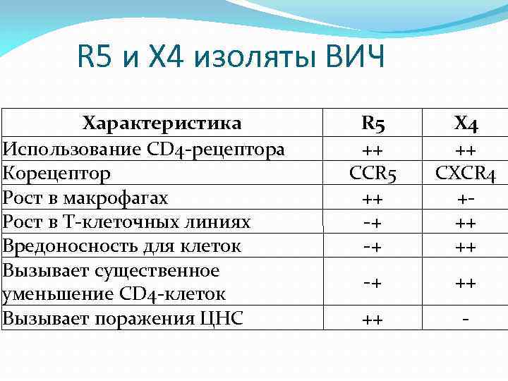 R 5 и X 4 изоляты ВИЧ Характеристика Использование CD 4 -рецептора Корецептор Рост