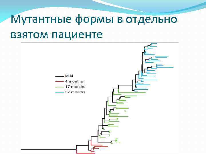 Мутантные формы в отдельно взятом пациенте 