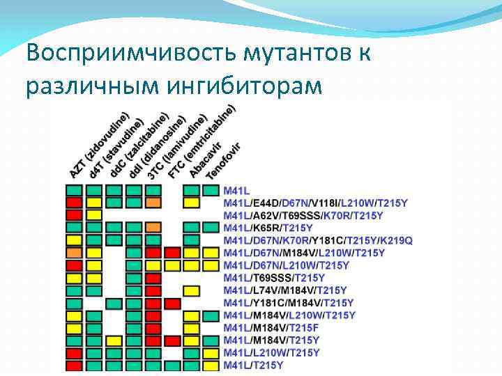 Восприимчивость мутантов к различным ингибиторам 