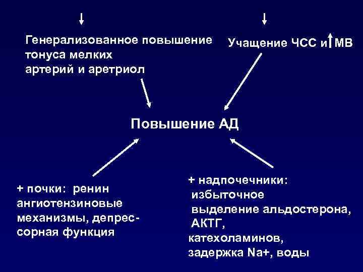 Генерализованное повышение тонуса мелких артерий и аретриол Учащение ЧСС и МВ Повышение АД +