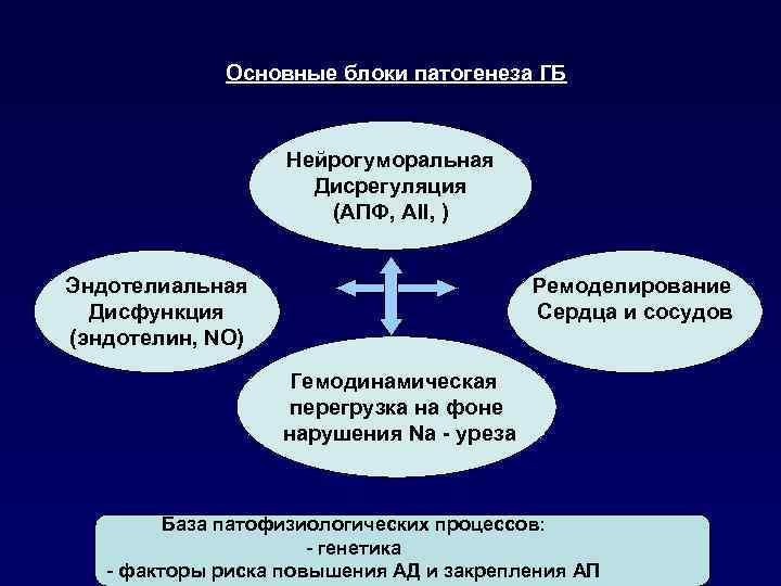 Основные блоки патогенеза ГБ Нейрогуморальная Дисрегуляция (АПФ, АII, ) Эндотелиальная Дисфункция (эндотелин, NO) Ремоделирование