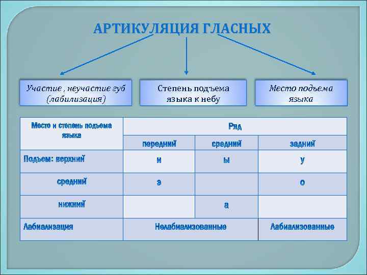 Гласные средне нижнего подъема. Классификация гласных звуков. Классификация гласных в русском языке.