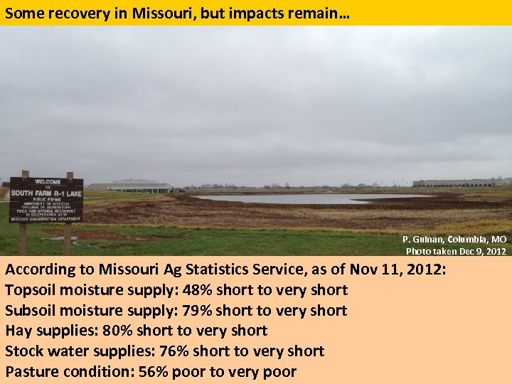 Some recovery in Missouri, but impacts remain… P. Guinan, Columbia, MO Photo taken Dec
