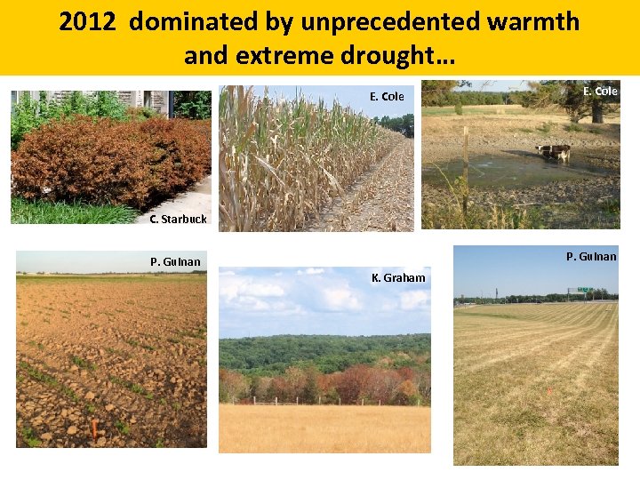 2012 dominated by unprecedented warmth and extreme drought… E. Cole C. Starbuck P. Guinan