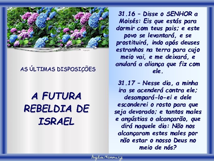 AS ÚLTIMAS DISPOSIÇÕES A FUTURA REBELDIA DE ISRAEL 31. 16 – Disse o SENHOR