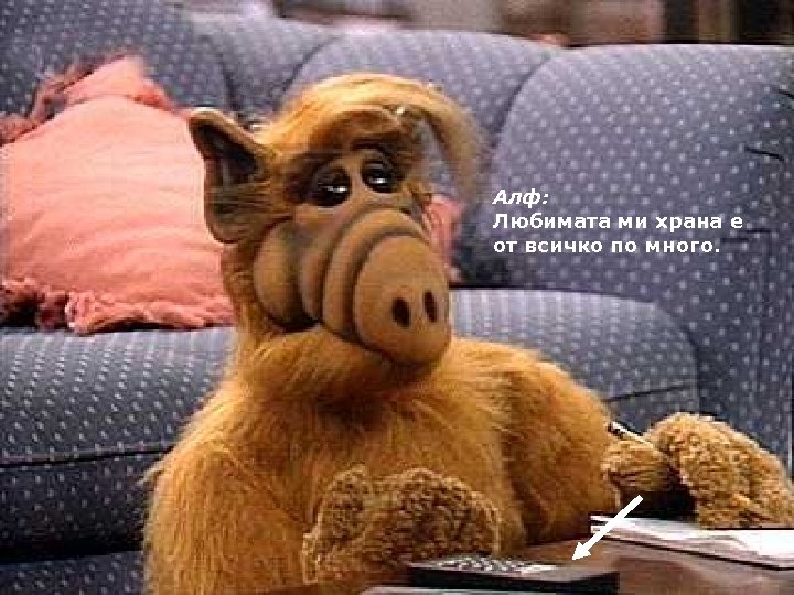 Алф: Любимата ми храна е от всичко по много. 