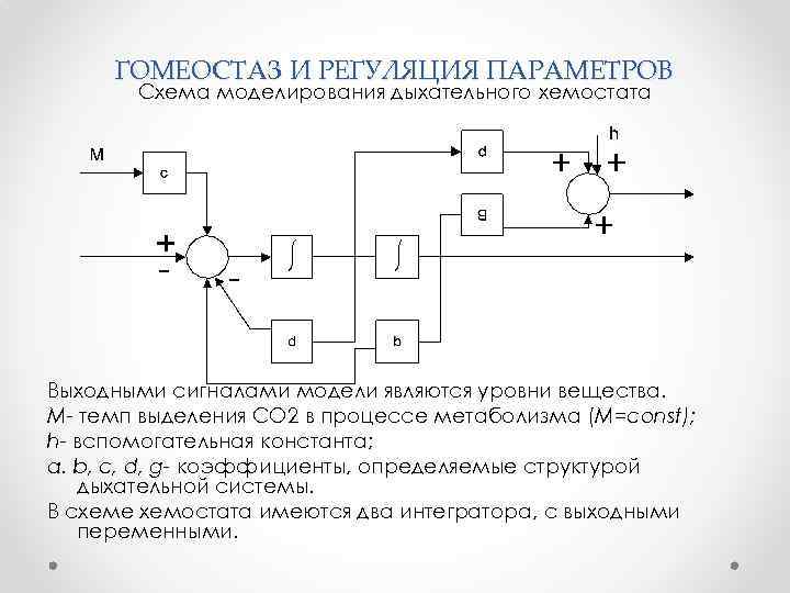 ГОМЕОСТАЗ И РЕГУЛЯЦИЯ ПАРАМЕТРОВ Схема моделирования дыхательного хемостата Выходными сигналами модели являются уровни вещества.