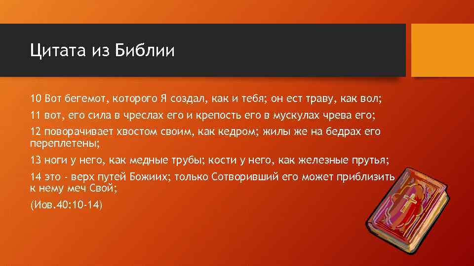 Цитата из Библии 10 Вот бегемот, которого Я создал, как и тебя; он ест